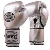 Casanova Sports Casanova Boxing® Hybrid Boxing Gloves W/ Hook & Loop - Silver