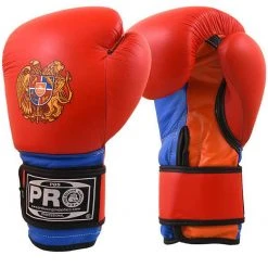 Pro Boxing Supplies Pro Boxing® Classic Leather Training Gloves - Armenia