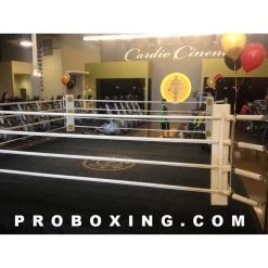 ProBoxingSupplies Daily Rental - Pro Boxing 12'x12' Ring