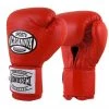 Pro Boxing Supplies Casanova Boxing® Hook And Loop Training Fight Gloves - Red