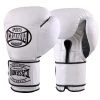 Pro Boxing Supplies Casanova Boxing® Hook And Loop Training Fight Gloves - White