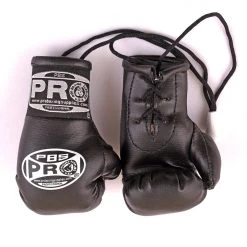 ProBoxingSupplies Pro Boxing® Mini Gloves