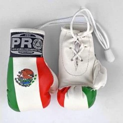 ProBoxingSupplies Pro Boxing® Mini Gloves