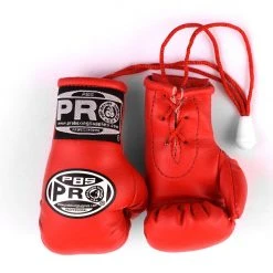 ProBoxingSupplies Pro Boxing® Mini Gloves
