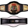 Pro Boxing Supplies Pro Platinum Championship Belt