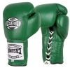 Pro Boxing Supplies Casanova Boxing® Professional Lace Up Training Gloves - Green