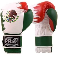 Pro Boxing Supplies Pro Boxing® Classic Leather Training Gloves - Mexico