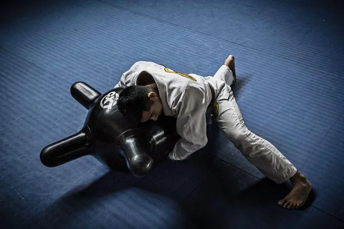 Pro Boxing Shop -Pro Boxing Shop cxt jiu jitsu north south 2048x2048 696x464 1